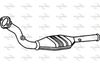P9549CAT.JPG