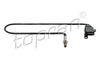 195543.JPG