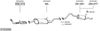 SYS02996.JPG