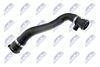 CPP-BM-011_2-WM.JPG