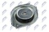 AD-SU-006_2-WM.JPG