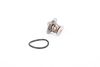 Termostat, chladivo 28.0200-4001.2