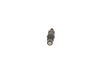 Bosch Nozzle and Holder Assembly 0432217142