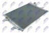 CCS-FT-009_1-WM.JPG