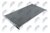 CCS-NS-009_1-WM.JPG