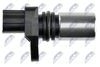 ECP-TY-015_3-WM.JPG