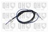 QH_BC3960.JPG