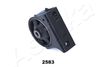 GOM-2583_2.JPG