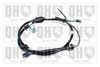 QH_BC3403.JPG