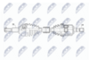 NPW-CH-158_9-WM.PNG
