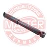 313522-PCS-MS.JPG