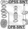 OPSS-SINT_1.JPG