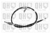 QH_BC3465.JPG