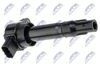 ECZ-MS-004_2-WM.JPG