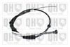 QH_BC3925.JPG