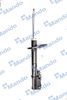 MSS015958B.JPG