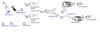 OP-EXSVG793_20260529081323.JPG