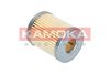 F701001_A.JPG