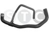 08557_201225.JPG