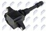 ECZ-RE-020_2-WM.JPG
