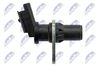 ECP-CT-019_3-WM.JPG