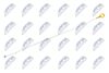 BOL-CH-000_1-WM.JPG