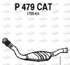P479CAT.JPG