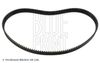 Blue Print Timing Belt ADM57516