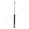MM-60013_1.JPG