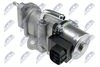 EGR-TY-004_2-WM.JPG