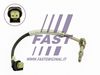 FT80236_1_1.JPG
