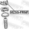 MZSS-FRNF_1.JPG