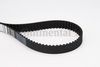 BELTPIC_CT986.JPG