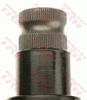 0161JRB5039_1.JPG
