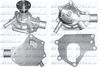 T243.BMP