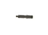 Bosch Nozzle and Holder Assembly 0432217253