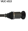 VKJC 4513_3.JPG