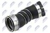GPP-BM-038_2-WM.JPG