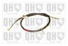 QH_BC2796.JPG