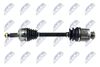 NPW-KA-342_1-WM.JPG