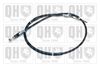 QH_BC3469.JPG