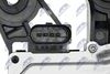 esw-vw-007_5-wm.JPG