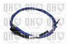 QH_BC4514.JPG