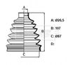 BCB6170_832180.JPG