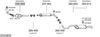 SYS10676.JPG