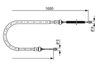 1987477955LIFRWHCO00MM.JPG