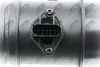 EPP-BM-014_4-WM.JPG