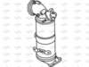 P8349CAT_1.PNG