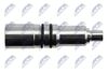 BWP-PL-001_3-WM.JPG