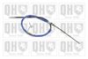 QH_BC3241.JPG